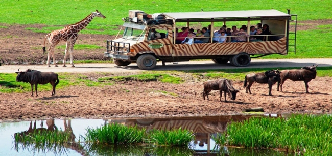 KENIA Y TANZANIA - SALIDA 10 DE NOVIEMBRE 2025