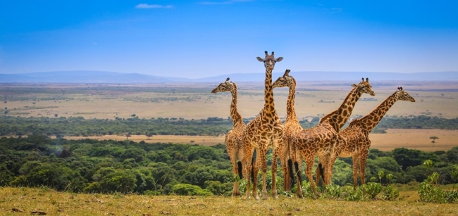 KENIA Y TANZANIA - SALIDA 10 DE NOVIEMBRE 2025