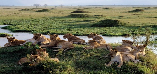 KENIA Y TANZANIA - SALIDA 10 DE NOVIEMBRE 2025