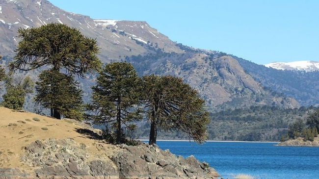 VILLA PEHUENIA - SALIDAS ENERO Y FEBRERO - VACACIONES DE VERANO
