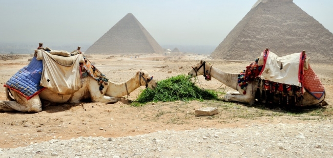 TURQUIA Y EGIPTO - SALIDA 12 DE ENERO 2026