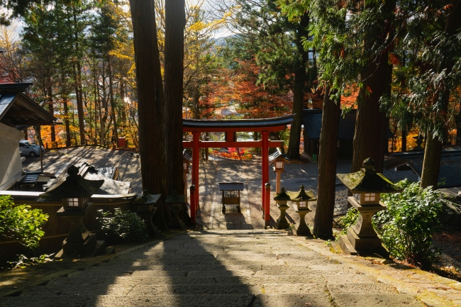 JAPON CON FLORACION DE CEREZOS- SALIDA 27 DE MARZO 2026