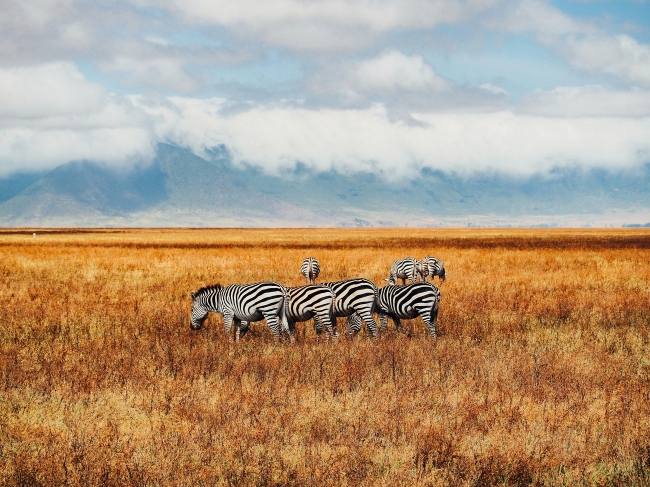 KENIA, TANZANIA & ZANZIBAR - SALIDA 02 NOVIEMBRE 2025