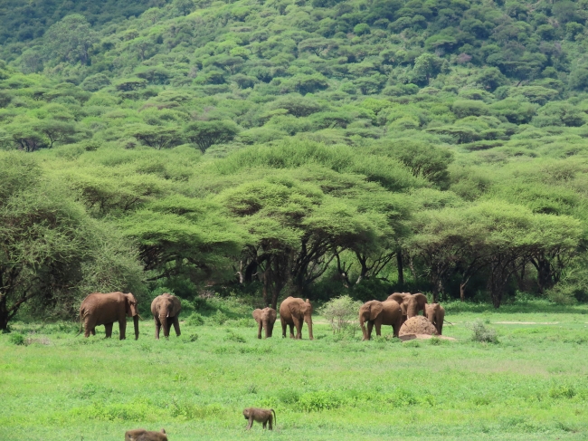 KENIA, TANZANIA & ZANZIBAR - SALIDA 02 NOVIEMBRE 2025