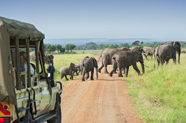 SAFARI EXCLUSIVO KENIA Y UGANDA - SALIDA 01 DE MARZO 2026