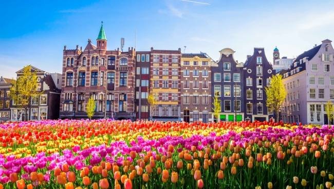 TULIPANES EN HOLANDA CON BELGICA Y FRANCIA - SALIDA 18 DE ABRIL 2026