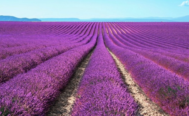 MILAN, COSTA AZUL Y PROVENZA - SALIDA 10 DE JUNIO 2026