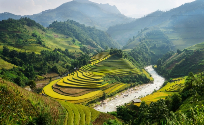  VIETNAM Y TAILANDIA CON PHUKET - SALIDA 18 DE NOVIEMBRE 2026