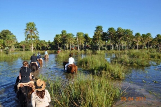 ESTEROS DEL IBERA - CORRIENTES - SALIDAS SEPTIEMBRE A NOVIEMBRE  2026
