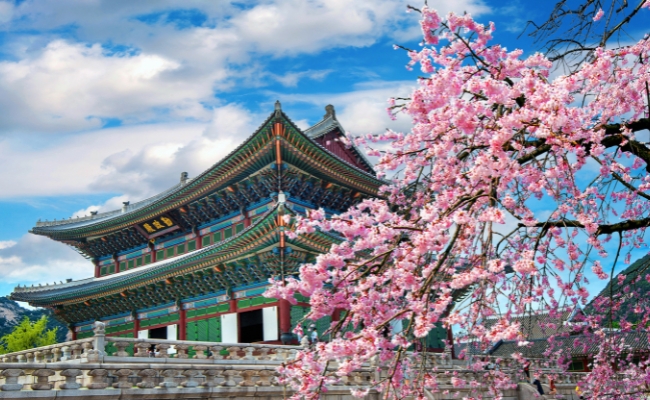 COREA Y JAPON - SALIDA 05 DE MARZO 2027