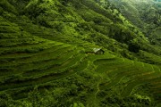 SUDESTE ASIATICO - VIETNAM, CAMBOYA Y TAILANDIA - SALIDA 22 DE NOVIEMBRE 2026