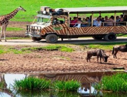 KENIA Y TANZANIA - SALIDA 10 DE NOVIEMBRE 2025