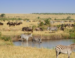 CORAZON DE AFRICA -KENIA Y TANZANIA CON ZANZIBAR -SALIDA 24 DE SEPTIEMBRE 2025