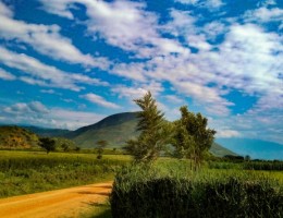 UGANDA - SALIDA 19 DE FEBRERO 2026
