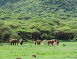 TANZANIA & ZANZIBAR - SALIDA 10 DE ENERO 2026