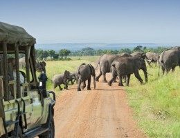SAFARI EXCLUSIVO KENIA Y UGANDA - SALIDA 01 DE MARZO 2026