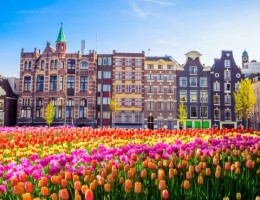 TULIPANES EN HOLANDA CON BELGICA Y FRANCIA - SALIDA 18 DE ABRIL 2026
