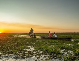 ESTEROS DEL IBERA - CORRIENTES - SALIDAS SEPTIEMBRE A NOVIEMBRE  2026
